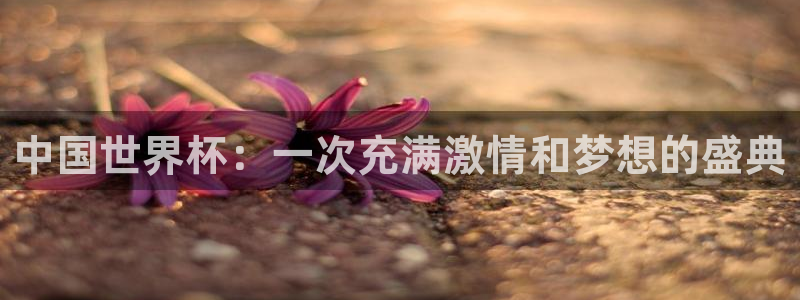 看世界杯:中国世界杯:一次充满激情和梦想的盛典