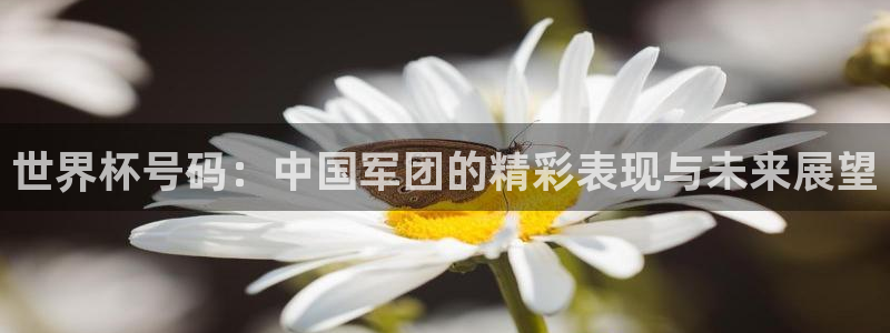 世界杯预选赛赛程表:世界杯号码:中国军团的精彩表现与未来展望