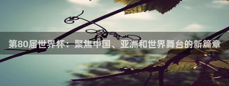 世预赛赛程表:第80届世界杯:聚焦中国、亚洲和世界舞台的新篇章