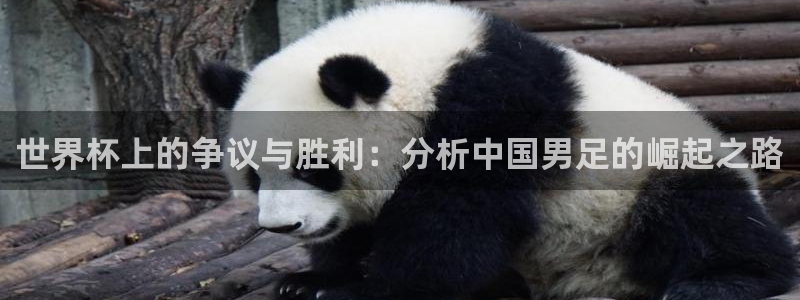 2026世界杯官网:世界杯上的争议与胜利:分析中国男足的崛起之路