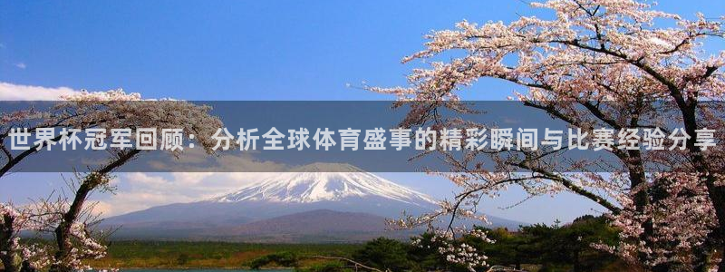 世界杯视频:世界杯冠军回顾:分析全球体育盛事的精彩瞬间与比赛经验分享